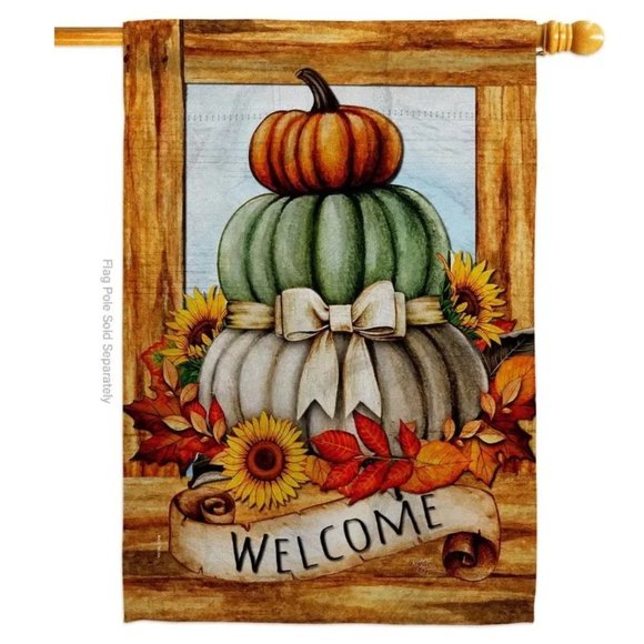 Fall Pumpkin Trio Fall Time Harvest Autumn Floral Decor Flag House Flag 28" x 40 - Picture 1 of 2